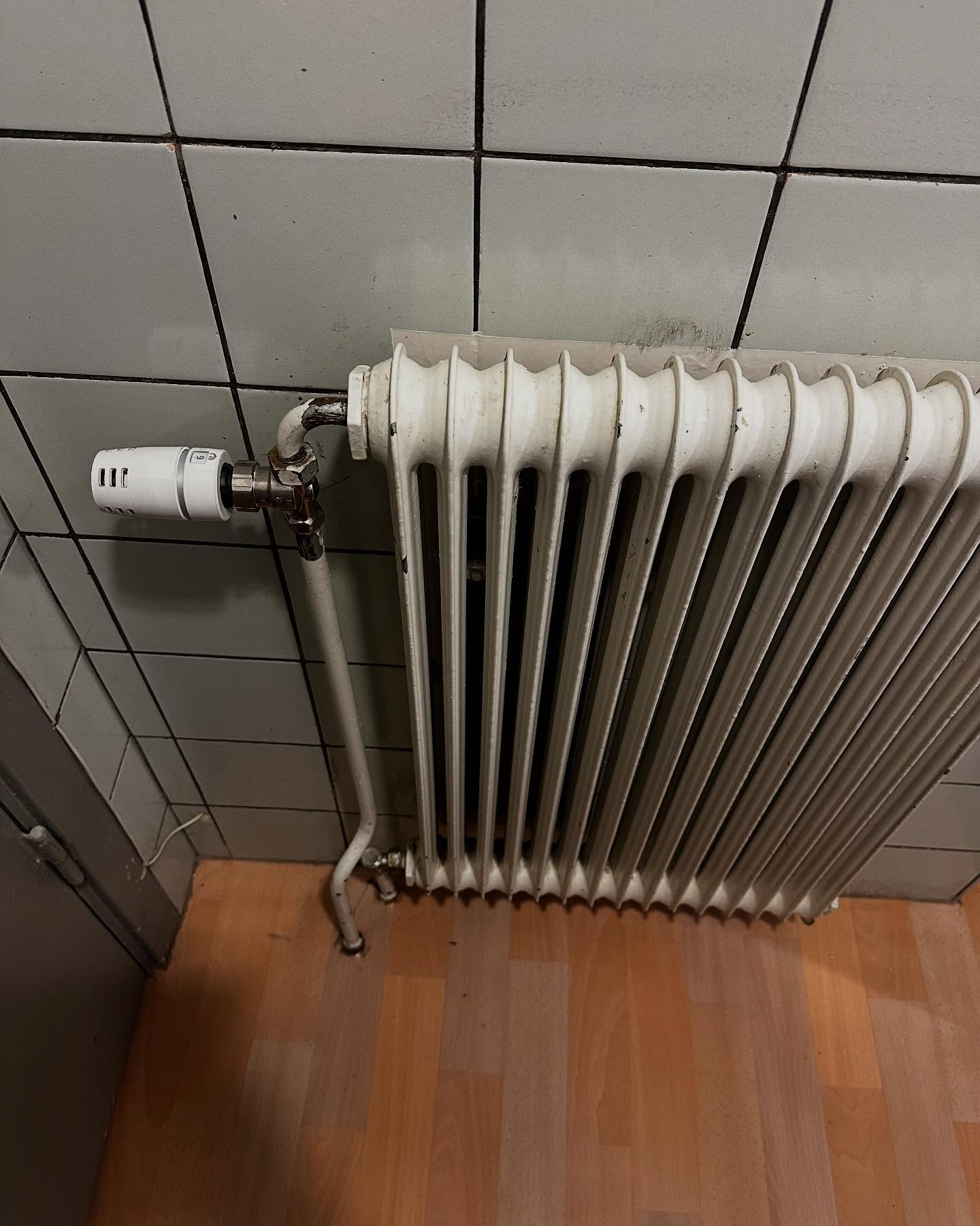 Gjutjärnsradiator med termostatventil